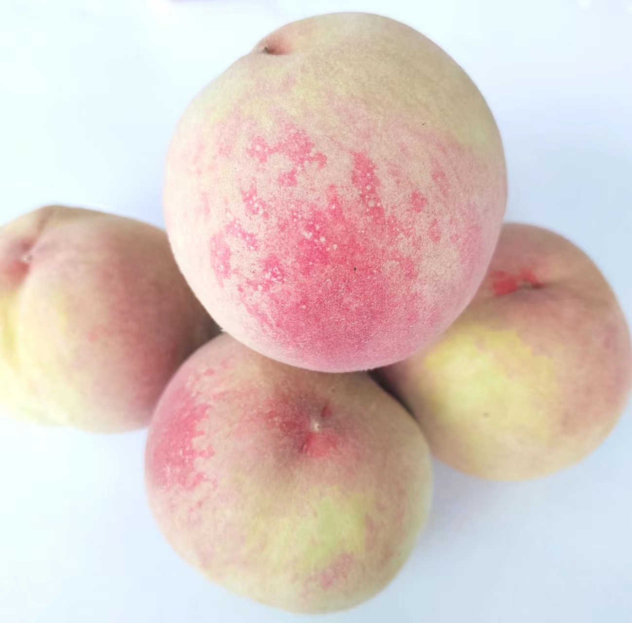 水蜜桃（每份5斤）