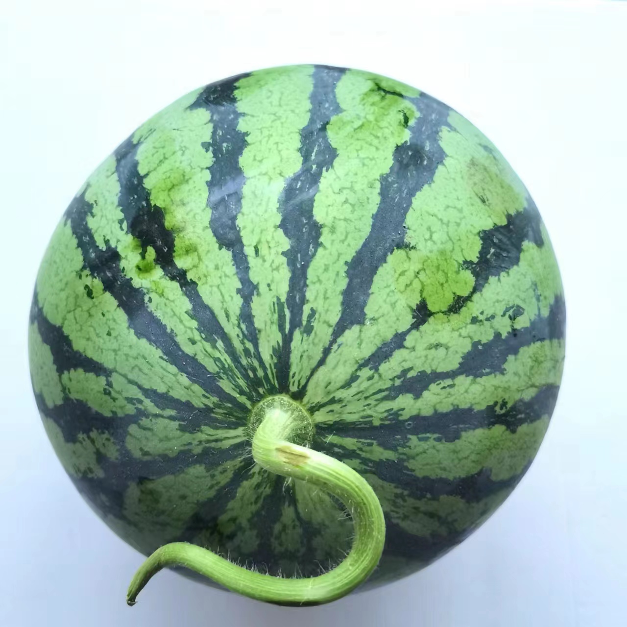 8424麒麟西瓜，单个2-8斤14斤*1袋