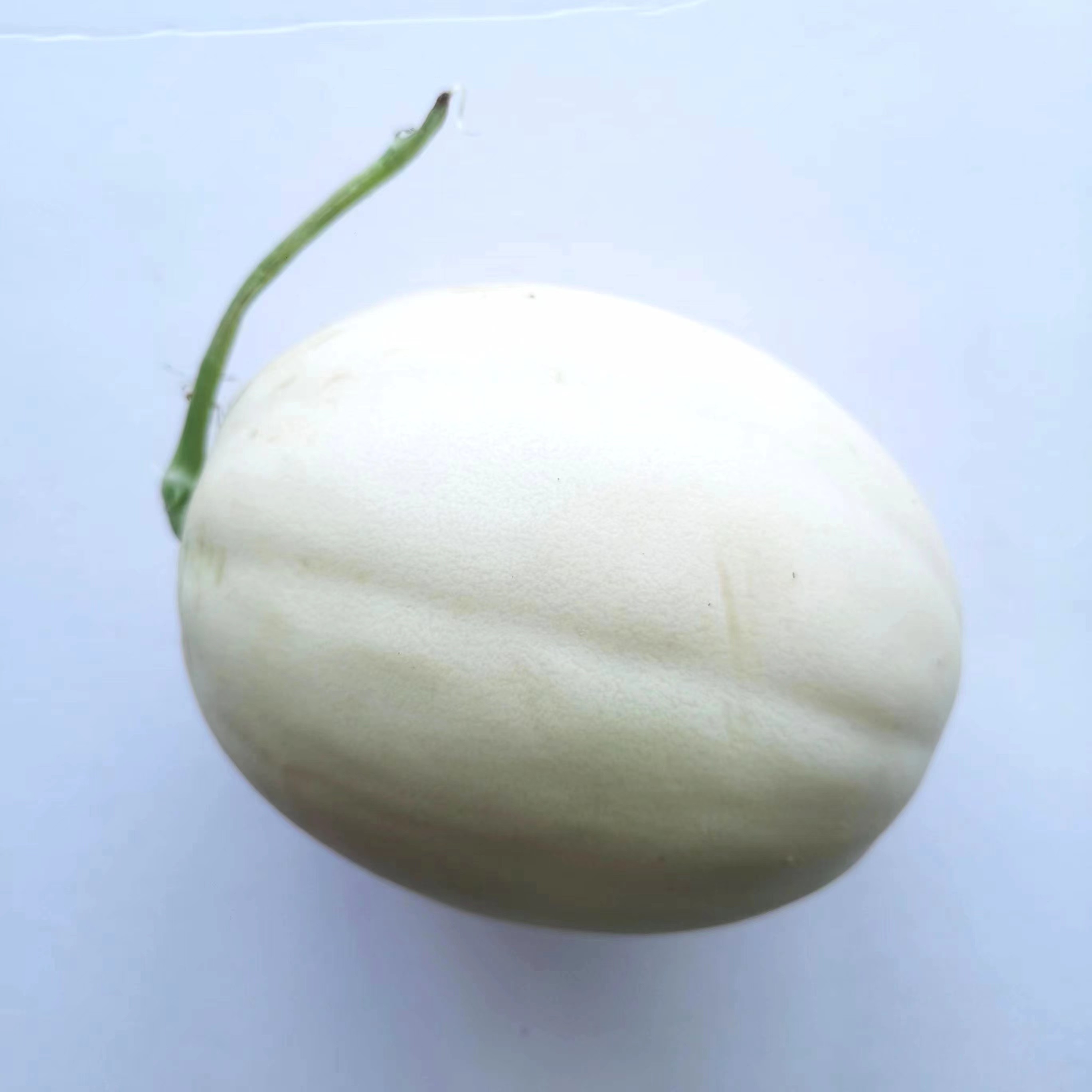 甜瓜（每份5斤）