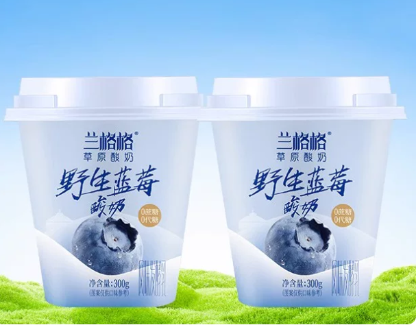 兰格格野生蓝莓草原酸奶300g